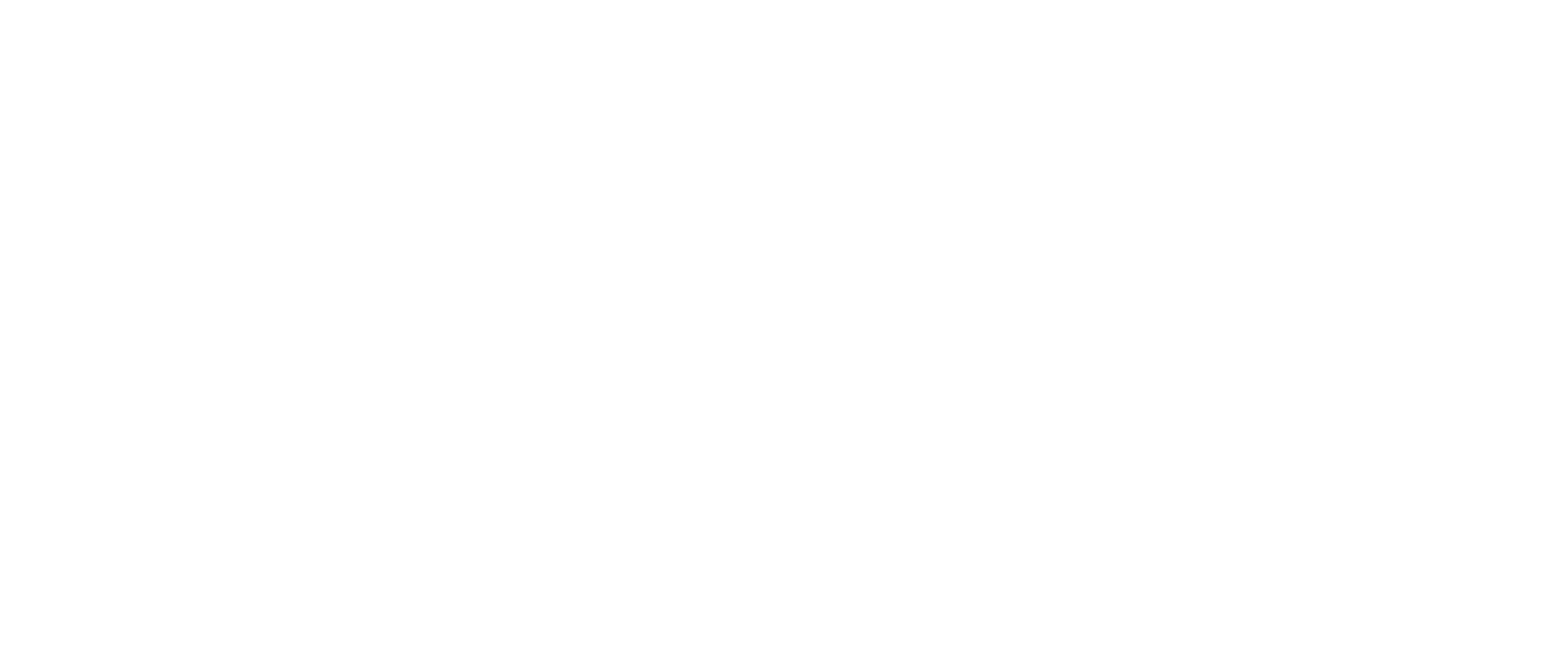 Forte Care Services